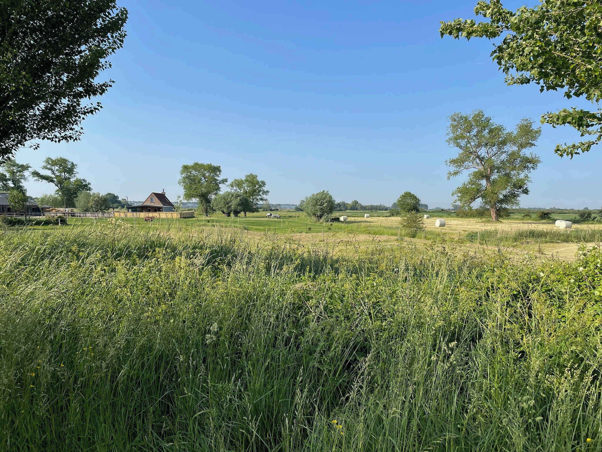 Een landelijk landschap met een huis, bomen en hooi bales.