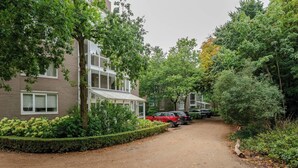 En bostadsgata med hus, parkerade bilar och frodig grönska.