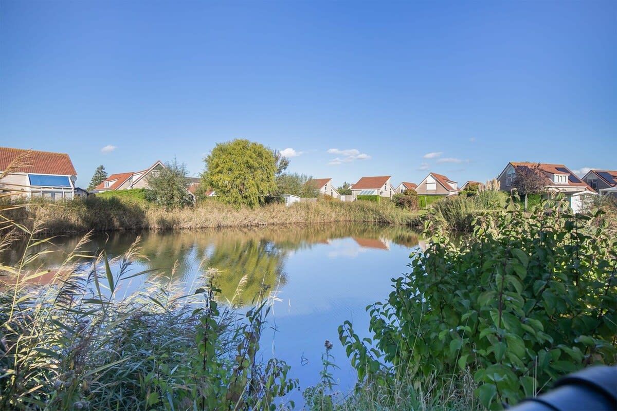 A calm river with houses on the opposite bank, surrounded by greenery.