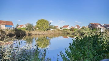 A calm river with houses on the opposite bank, surrounded by greenery.