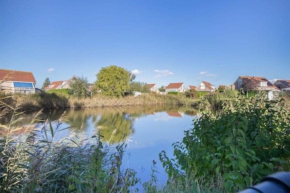 Un río tranquilo con casas en la orilla opuesta, rodeado de vegetación.