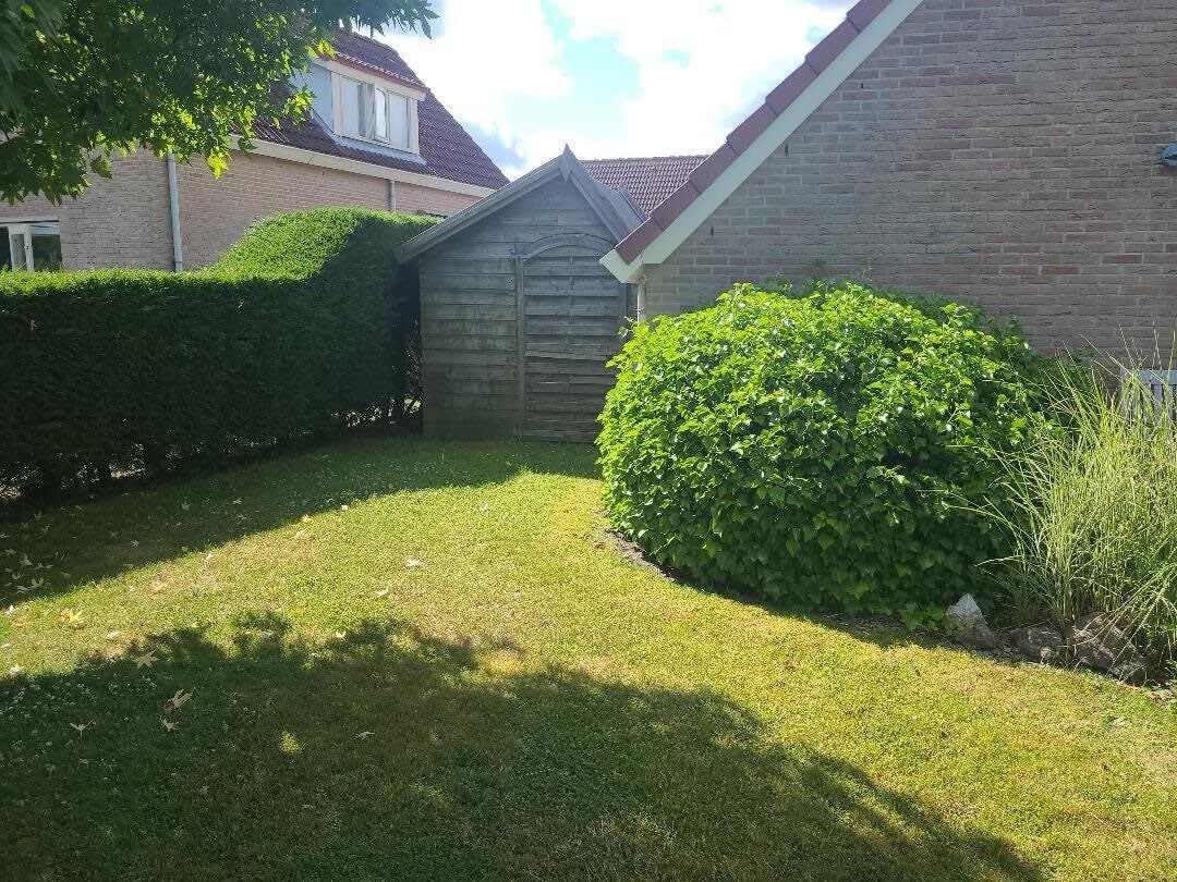 A well-maintained garden with a wooden shed, neatly trimmed hedges, and a grassy lawn.