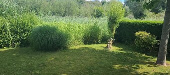 Holiday home with garden in Breskens | Zwin 174