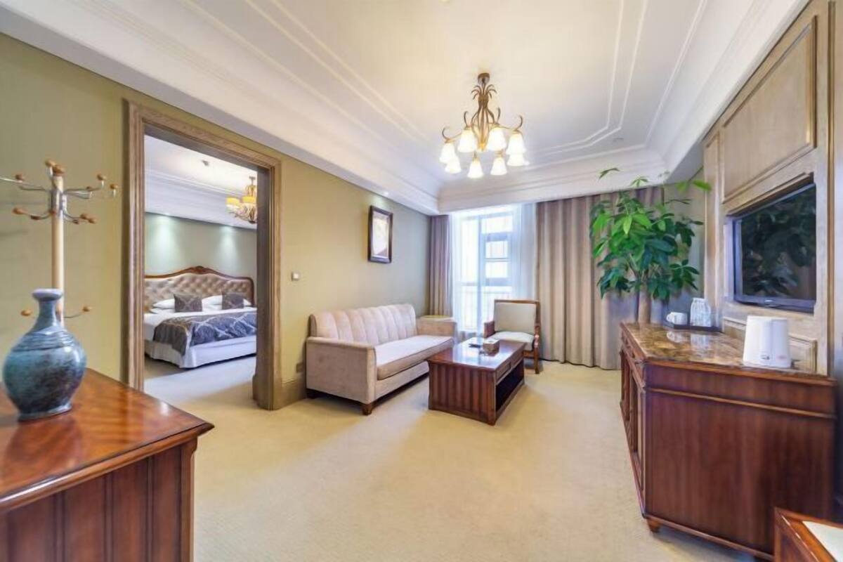 Habitación de hotel con sofá, mesa de centro, televisor, planta y cama con ventana.