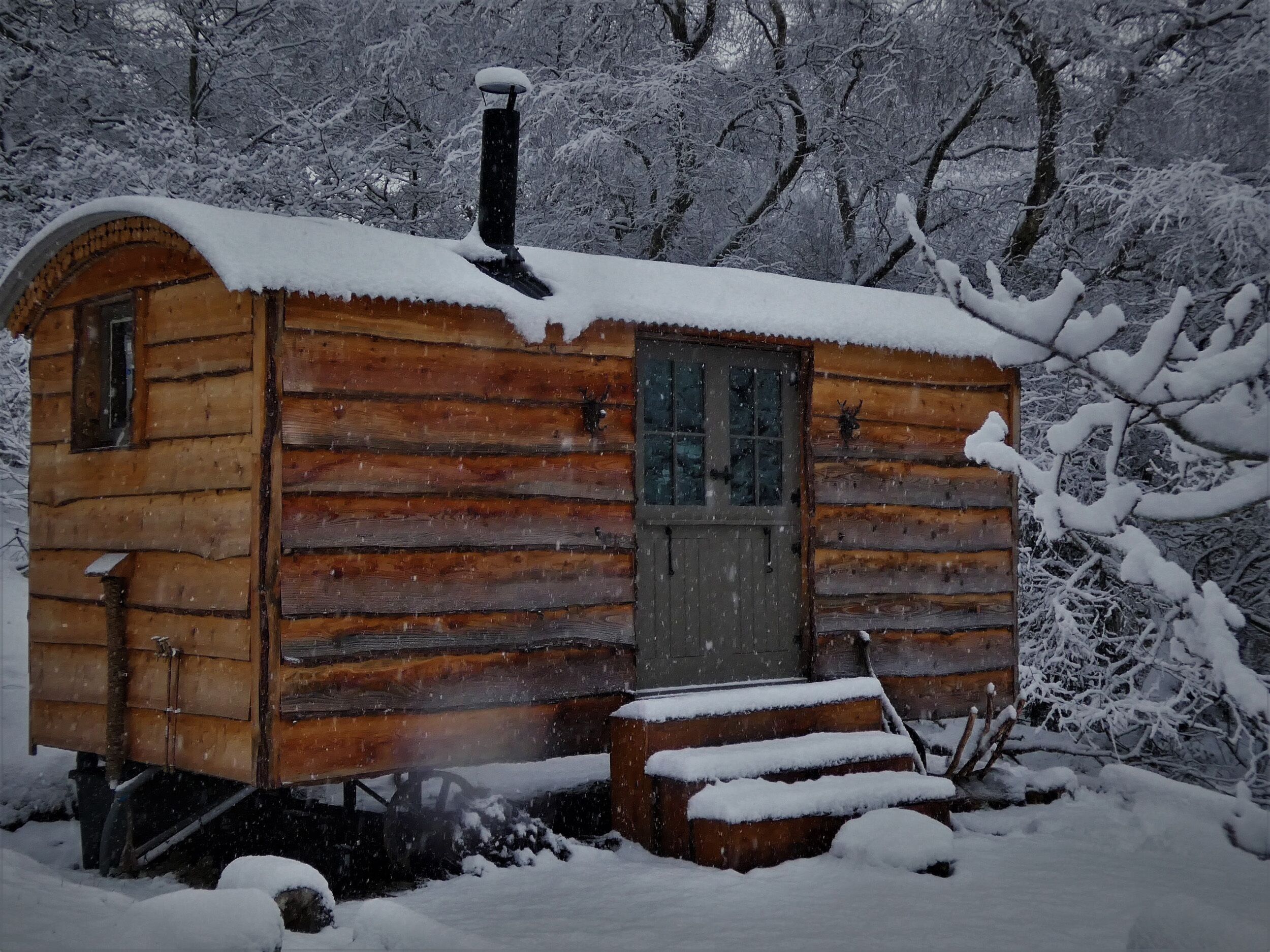 Cottage | Bahagian dalam