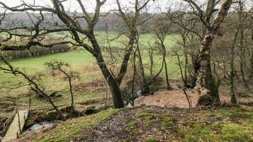 Cottage | Bahagian dalam