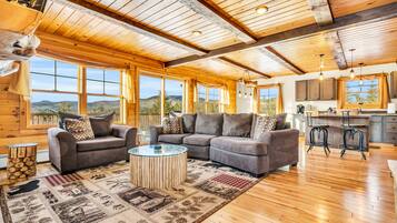 TV connectée, cheminée, lecteur de DVD, livres