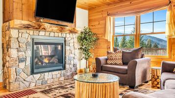 TV connectée, cheminée, lecteur de DVD, livres