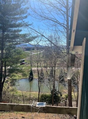 Property grounds - Swift Hollow Memories (Mountain City)