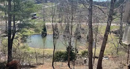 Swift Hollow Memories