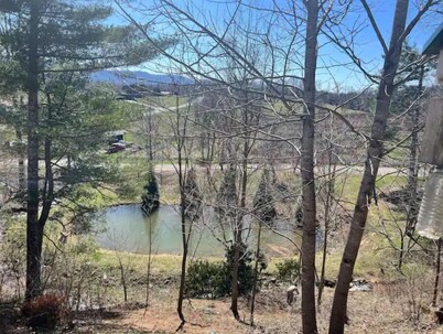 Swift Hollow Memories
