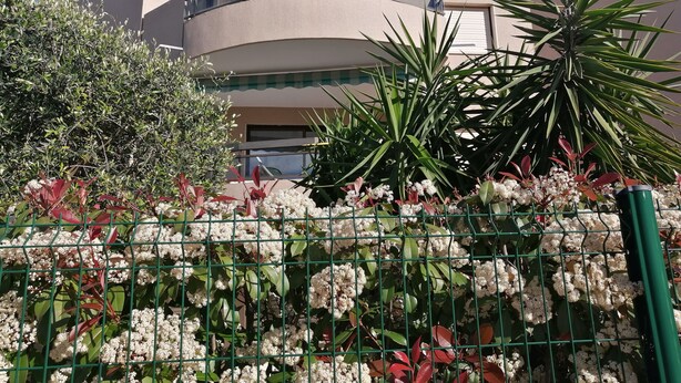 Un edificio moderno con un balcón curvo, rodeado de plantas variadas y una cerca verde.