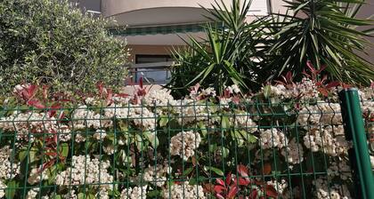 T2 air-conditioned apartment - terrace - secure residence - 4 min beach, shops