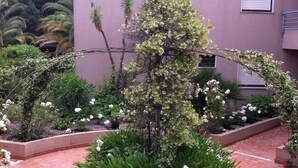 Un patio con un árbol central, rodeado de macizos de flores y un edificio rosa al fondo.
