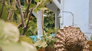 A woven basket on a wooden bench in a garden setting. - Lagon - Charming Creole studio 2 steps from the sea (Sainte-Anne)