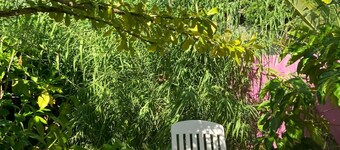 Zikak - Charming Creole cottage 2 steps from the sea