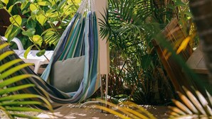A hammock hanging from a white structure surrounded by lush green foliage. - Zikak - Charming Creole cottage 2 steps from the sea (Sainte-Anne)