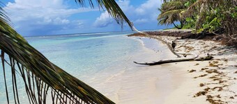 Papaye - Charming Creole cottage 2 steps from the sea