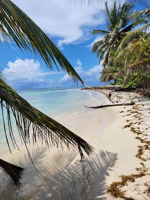 Beach - Roucou - Charming Creole cottage 2 steps from the sea (Sainte-Anne)