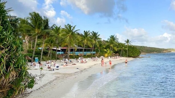 Ein Strand mit Palmen, sandigem Ufer und blauem Himmel.