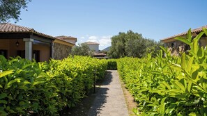 A pathway flanked by lush green plants leading to traditional buildings with tiled roofs.