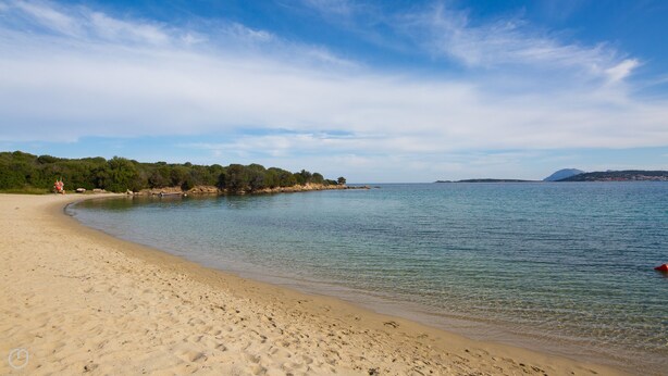 Uma praia arenosa com águas cristalinas, uma área arborizada e uma ilha ao longe.
