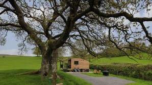 A wooden cabin with a gravel path leading to it, surrounded by lush green fields and a large tree. - Wild Acre (Llangadog)