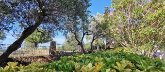 La Casa Di Rita - A - Sa Capannizza