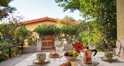 Villa Blue Holiday with terrace - Costa Rei