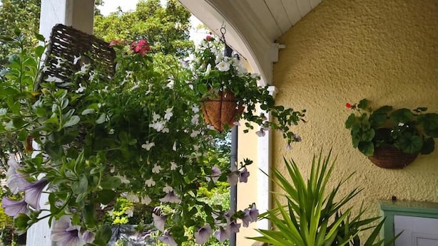 A covered porch with hanging planters and a potted plant.