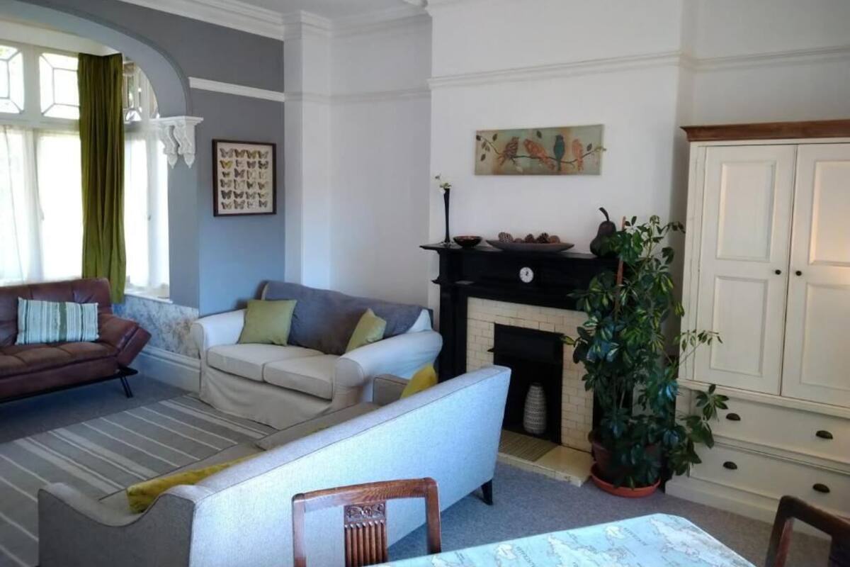 A living room with a fireplace, two sofas, a dining table, and a large potted plant.