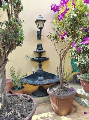 Área da propriedade