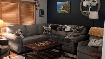 Smart TV, DVD player, books, video library