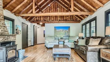 TV connectée, cheminée, livres