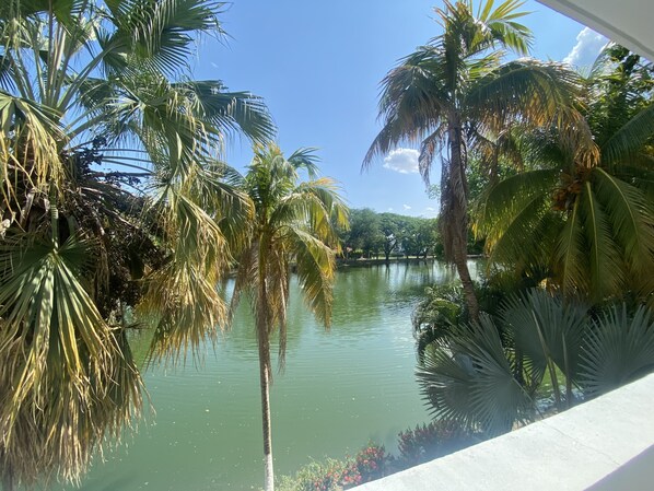 A view of a calm lake surrounded by palm trees and greenery.