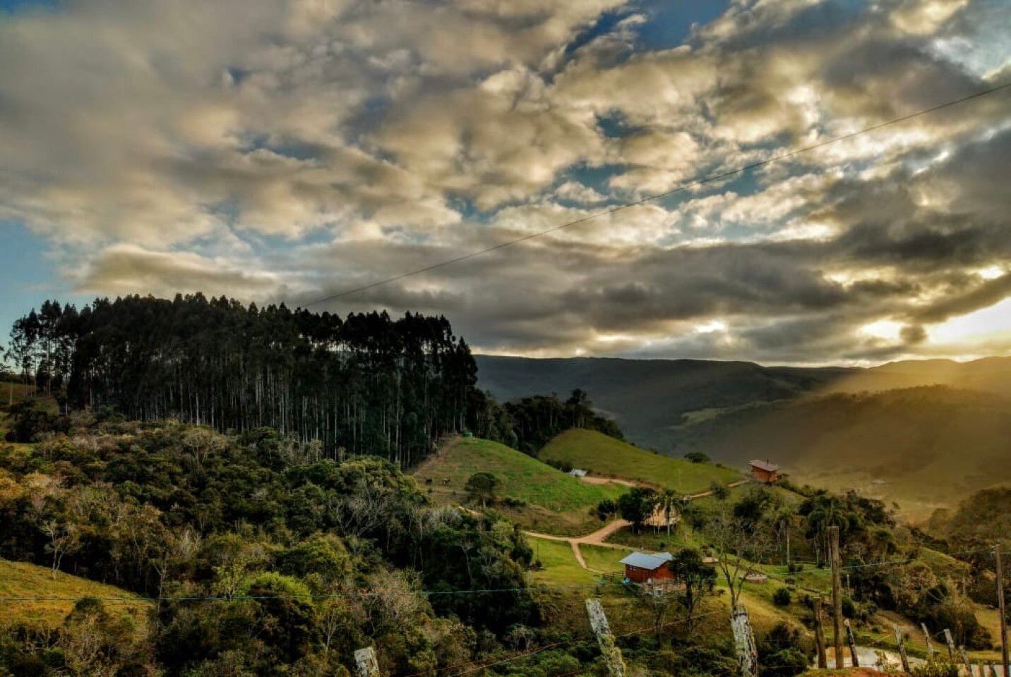 Un paisaje rural con un bosque tupido, colinas ondulantes y una pequeña casa con techo rojo.