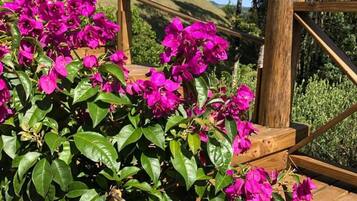 Familien-Ferienhütte, Küche, Bergblick | Unterkunftsgelände