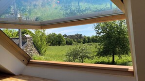 A skylight window with a view of a green field and trees.