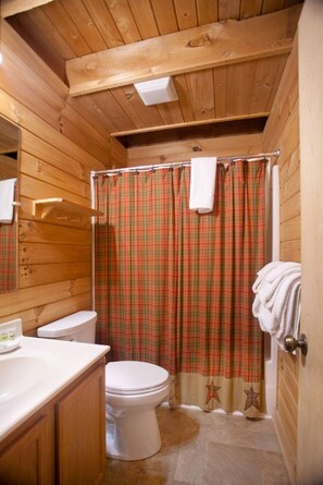 Hair dryer, towels, toilet paper