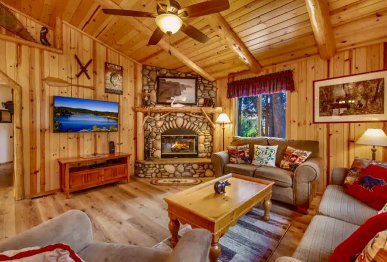 Smart TV, fireplace, DVD player, books