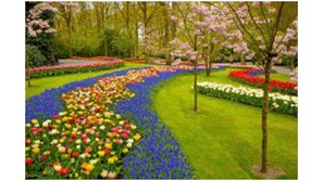 Stroll through the beautifully landscaped garden, featuring vibrant flowers and a serene central pathway.