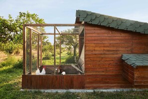 Un gallinero de madera con cerramiento de malla metálica y techo inclinado.
