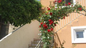 Una scala con ringhiera, una finestra e un muro ricoperto di rose rampicanti.