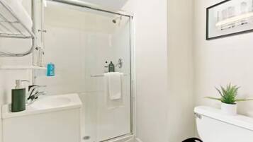 Hair dryer, towels, soap, shampoo