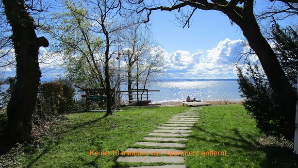 Ein Weg führt zu einer Uferlandschaft mit einer Bank und einem Tisch, umgeben von Bäumen und Gras.