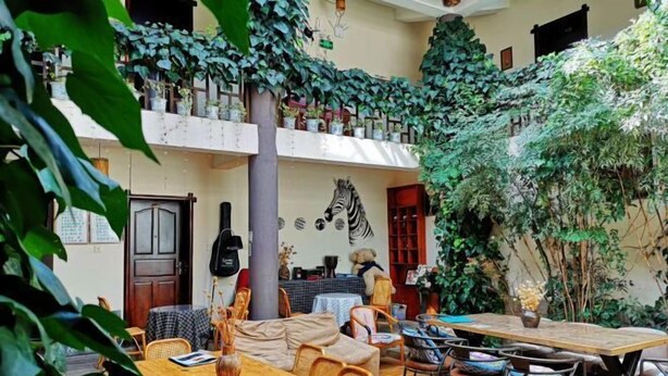Un comedor interior acogedor con mesas y sillas de madera, rodeado de abundante vegetación y plantas en macetas.