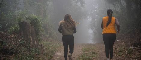 Two people running on a misty forest path.