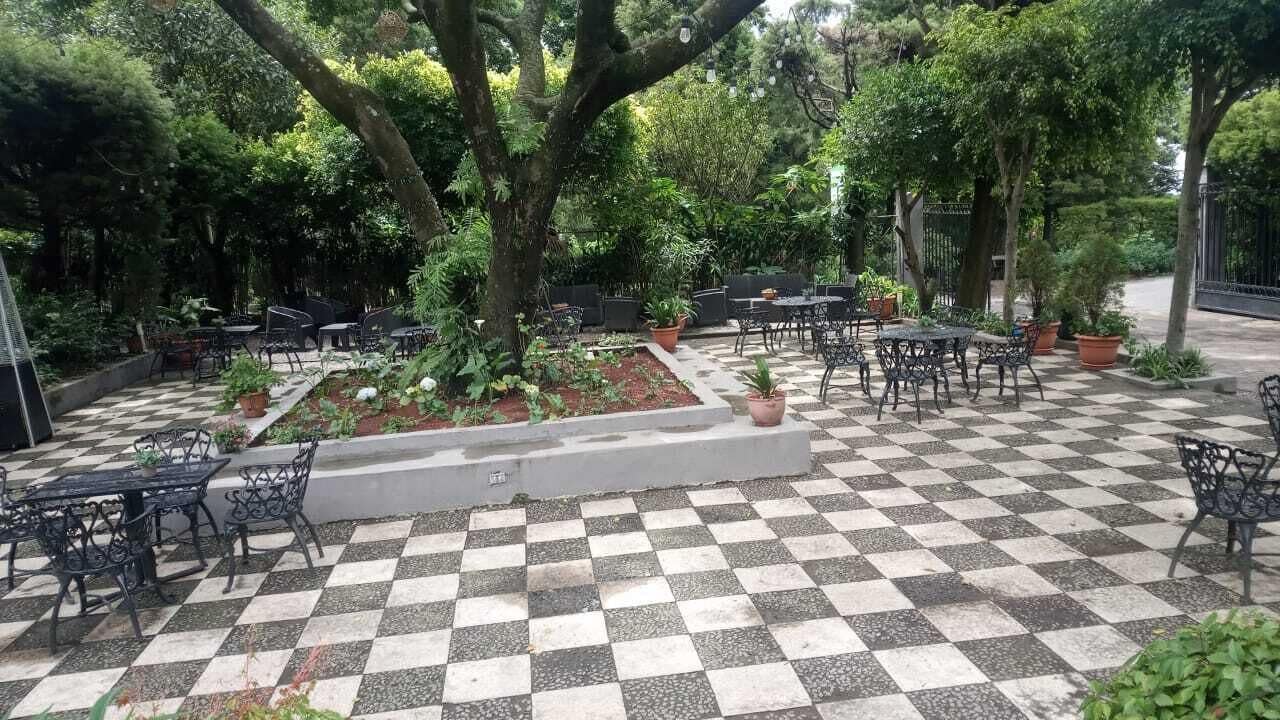 An outdoor patio with checkered flooring, surrounded by potted plants and trees.