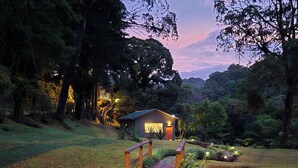 A stone pathway leading to a small house surrounded by lush greenery. - Casa Mia Suite with Jacuzzi and Panoramic View (Monteverde)