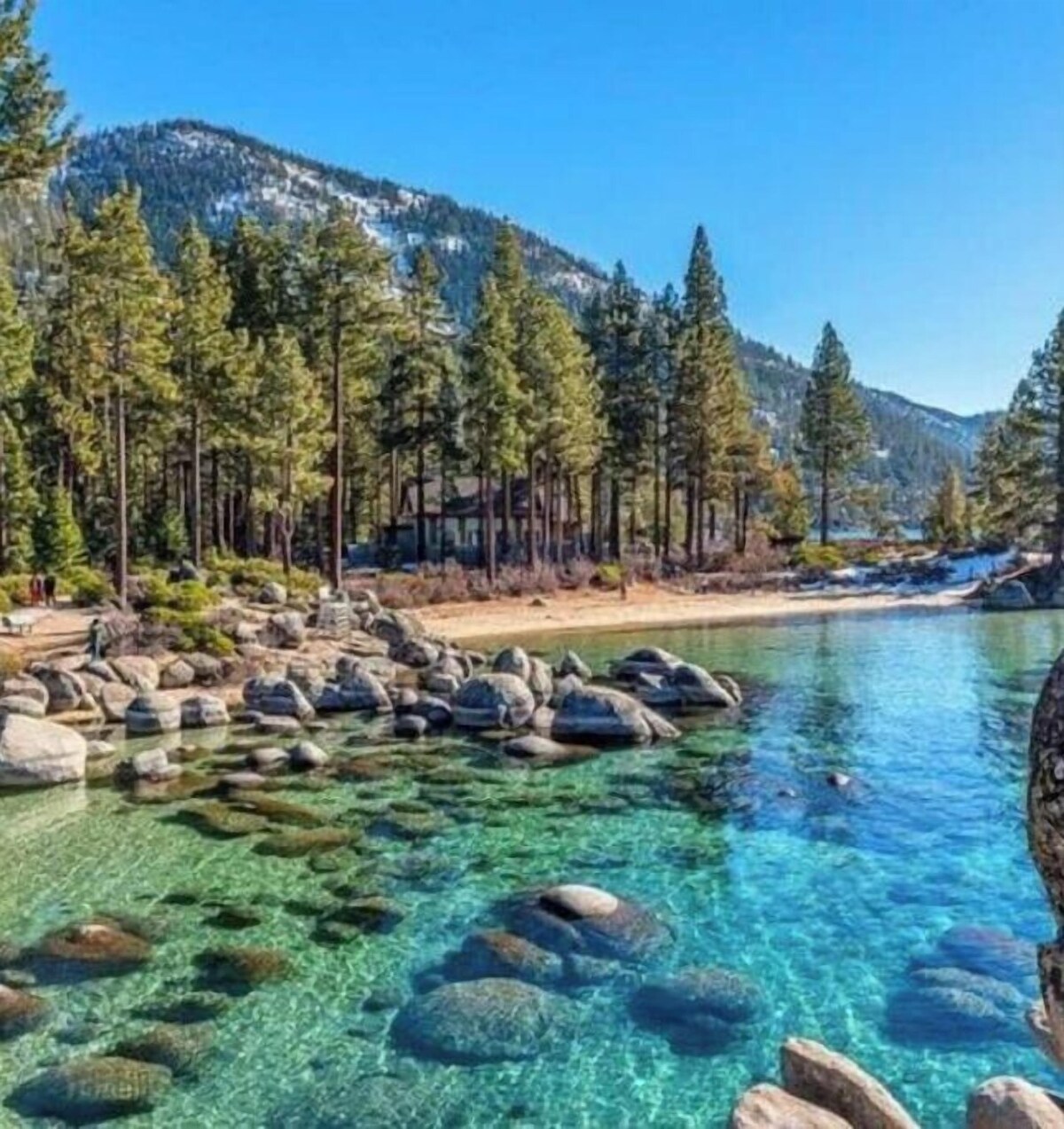 Imagen de perfil del propietario o de la propietaria